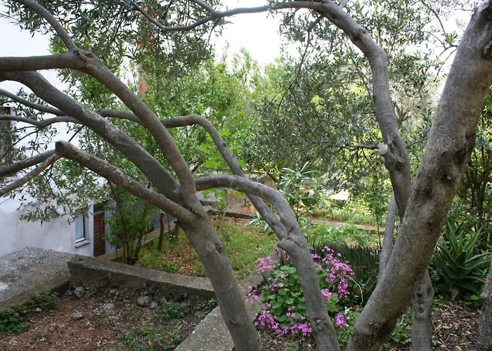 518b Daire Podgora (Split-Dalmatia)