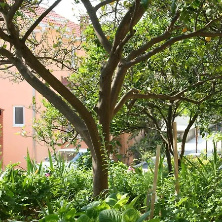 518b Apartamento *